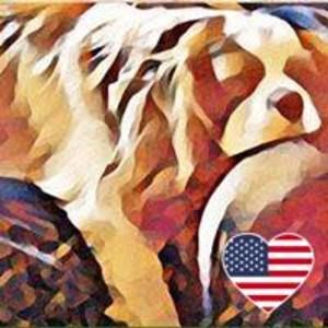 Meet your Posher, Janine